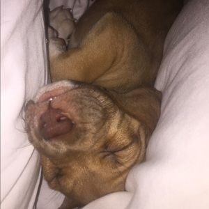 Meet your Posher, Jayy